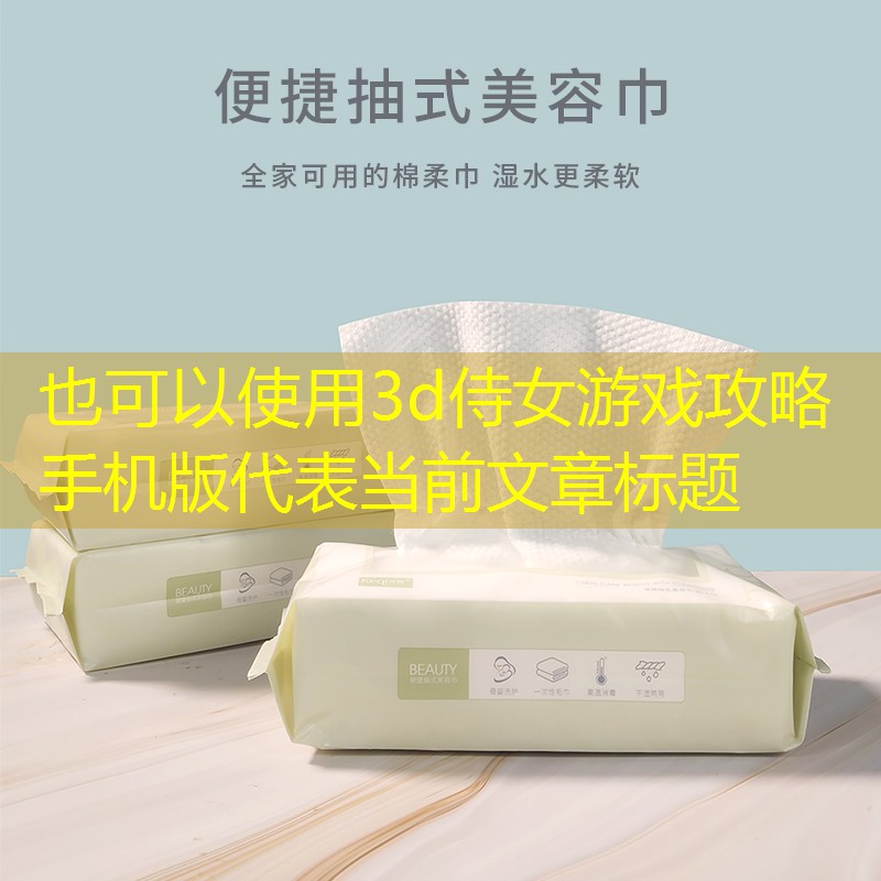 3d侍女游戏攻略手机版