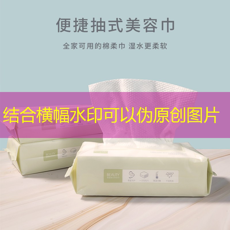3d侍女游戏攻略手机版