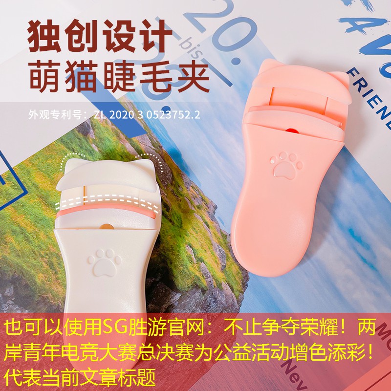 不止争夺荣耀！两岸青年电竞大赛总决赛为公益活动增色添彩！