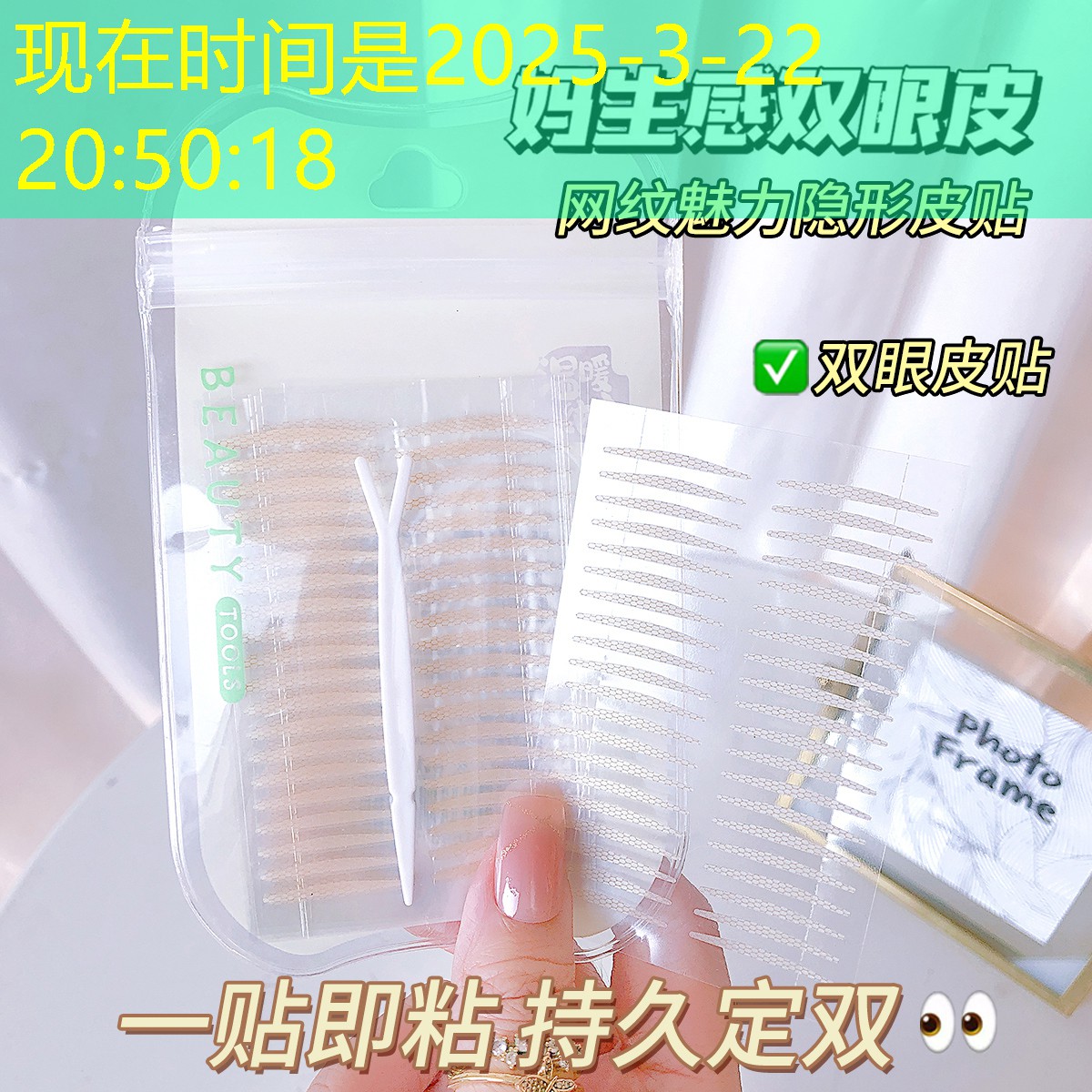 鱼类3d进化游戏